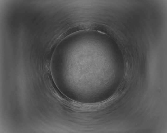 X0000054400048200508011334