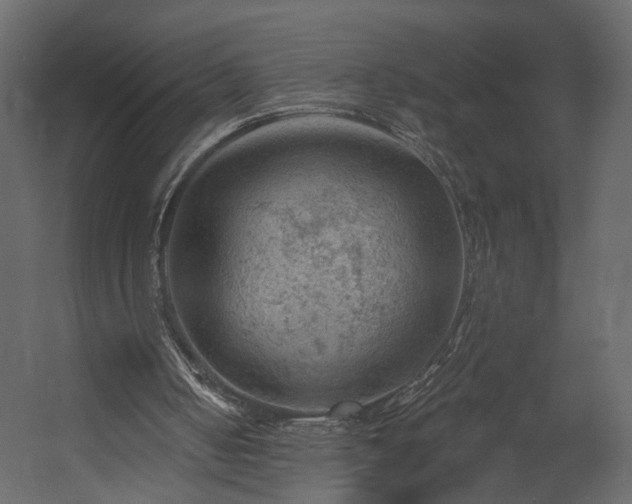 X0000054400050200508011333