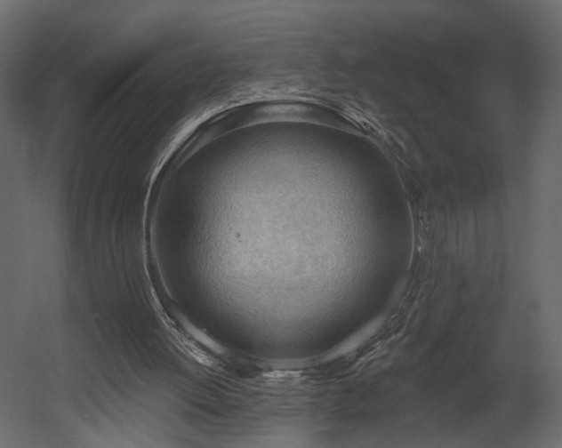 X0000054400052200508011333