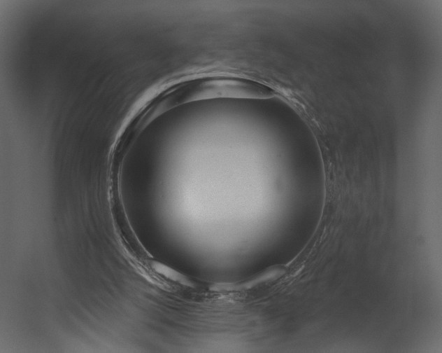 X0000054400056200508011333