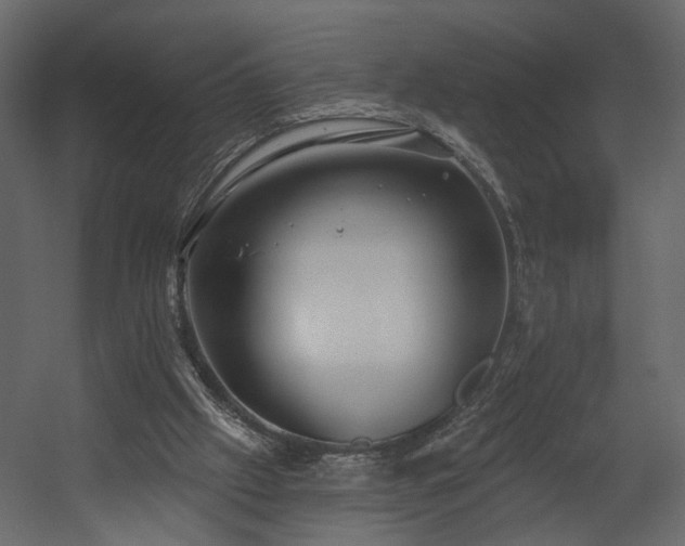 X0000054400057200508011333