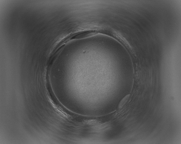 X0000054400058200508011333