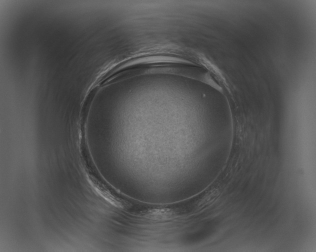 X0000054400059200508011333