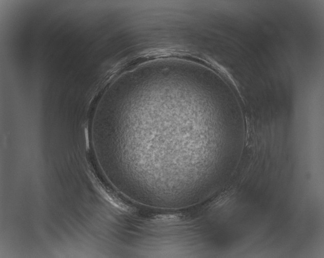 X0000054400061200508011333