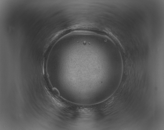 X0000054400062200508011333