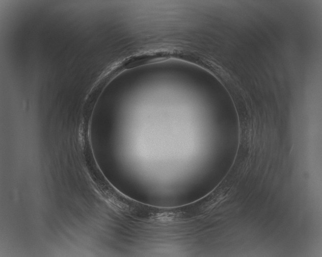 X0000054400064200508011333