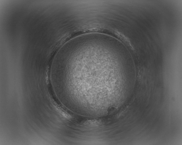 X0000054400065200508011333