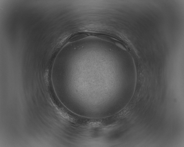 X0000054400066200508011333