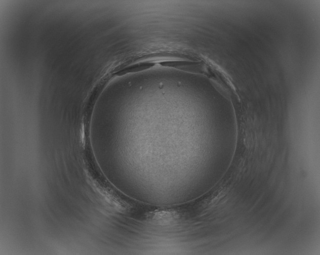 X0000054400067200508011333