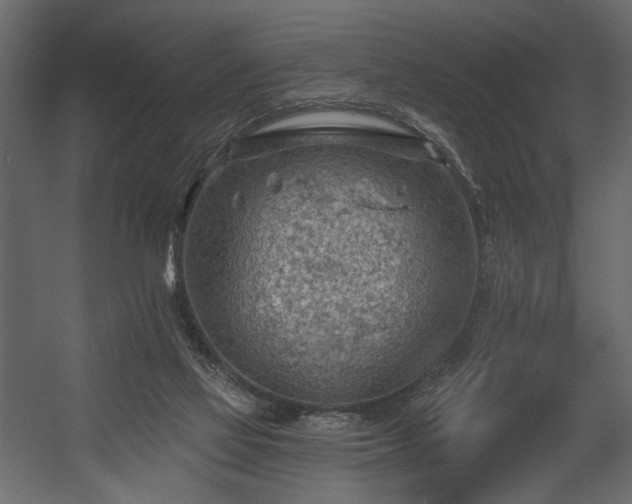 X0000054400069200508011333