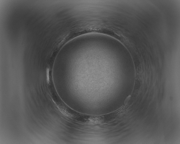 X0000054400070200508011333