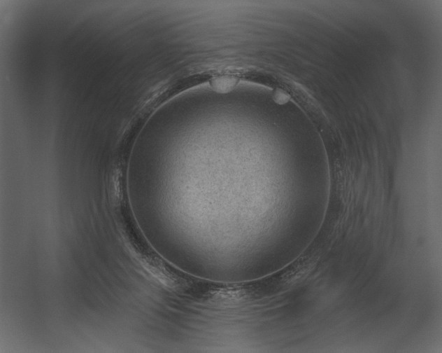 X0000054400071200508011333