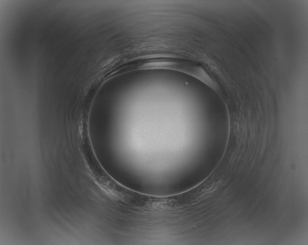 X0000054400072200508011333