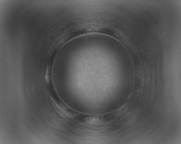 X0000054400074200508011333