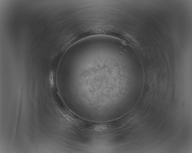 X0000054400075200508011333