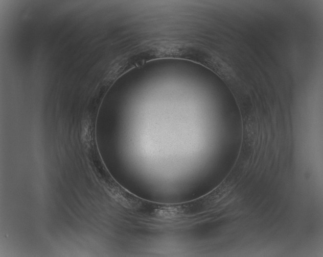 X0000054400079200508011333