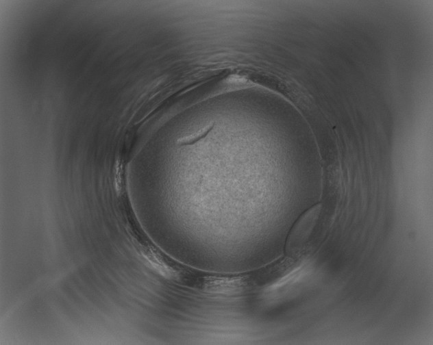 X0000054400081200508011333