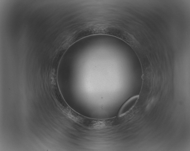 X0000054400083200508011334