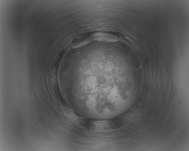 X0000054400085200508011334