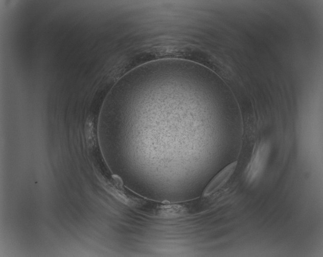 X0000054400087200508011334