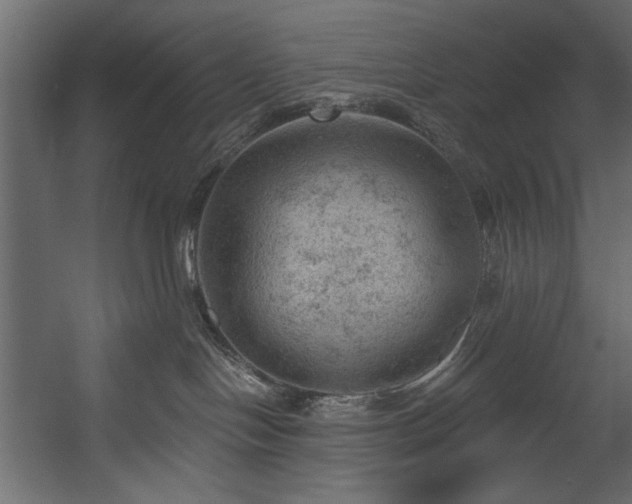 X0000054400094200508011334