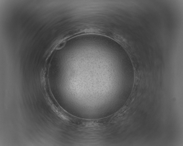 X0000054400098200508011333