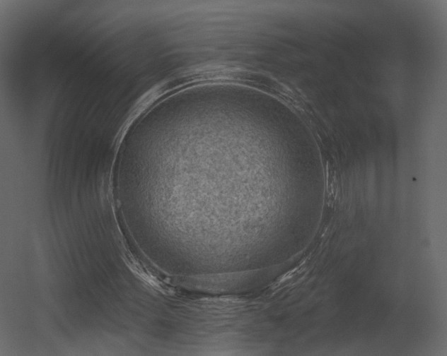 X0000054400099200508011333