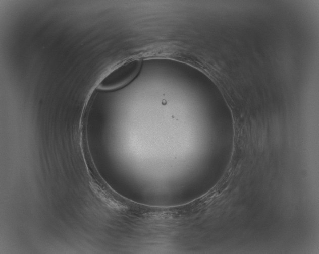 X0000054400100200508011333