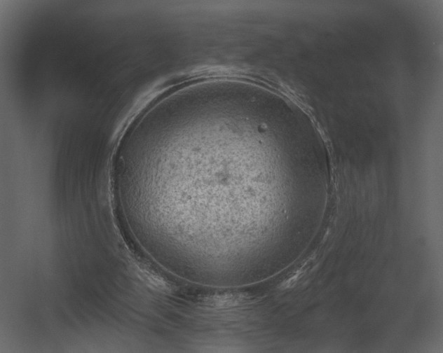 X0000054400103200508011333