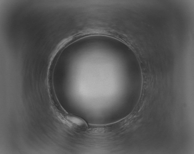 X0000054400104200508011333