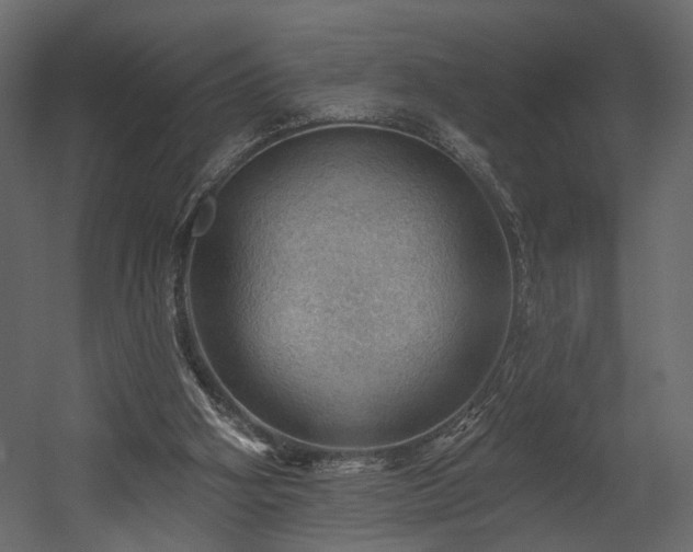 X0000054400106200508011333