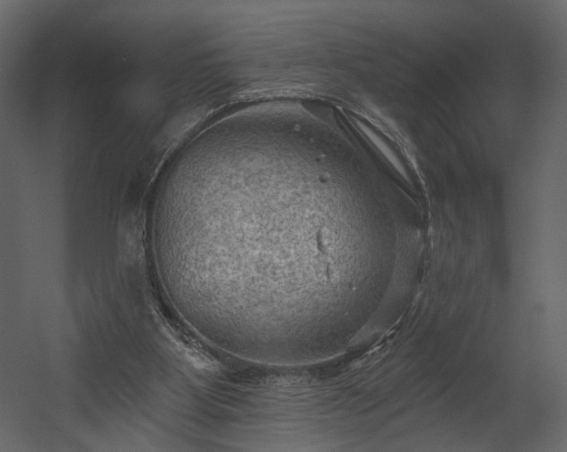 X0000054400107200508011333