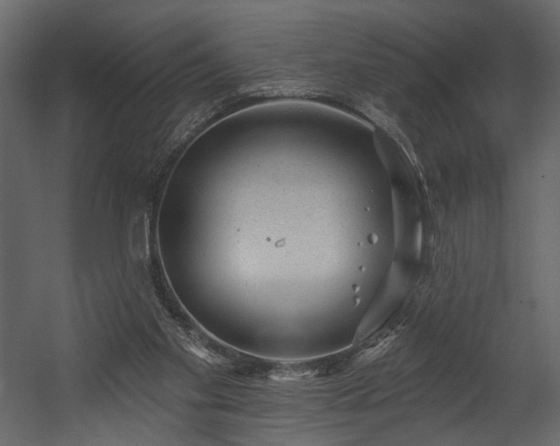 X0000054400109200508011333