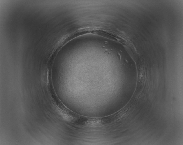 X0000054400110200508011333