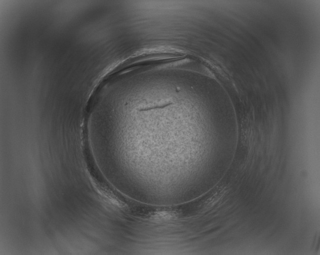 X0000054400111200508011333