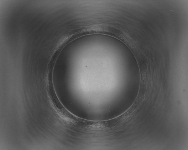 X0000054400112200508011333