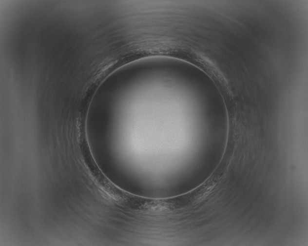 X0000054400113200508011333