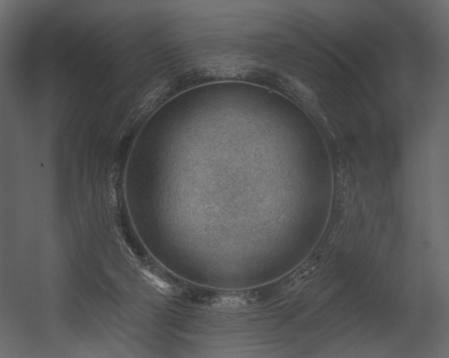 X0000054400114200508011333