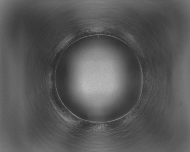 X0000054400116200508011333