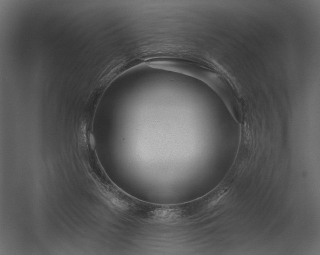 X0000054400117200508011333