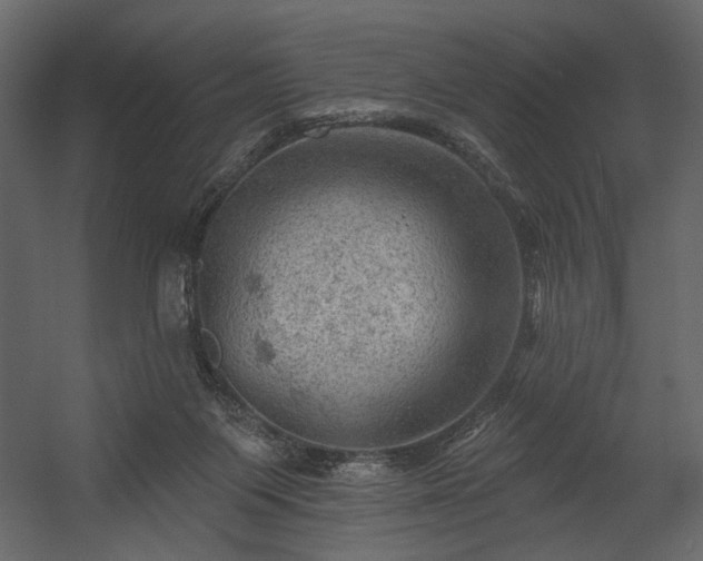 X0000054400119200508011333