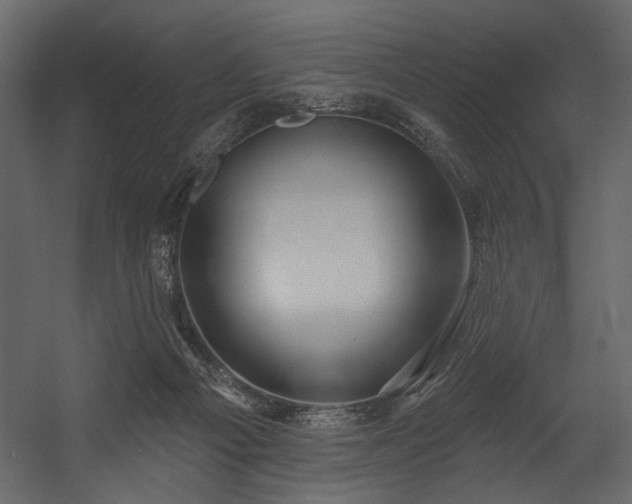 X0000054400121200508011333