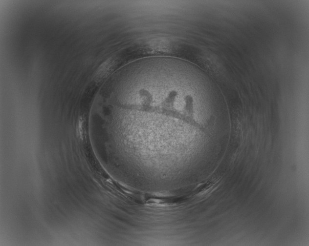 X0000054400123200508011332