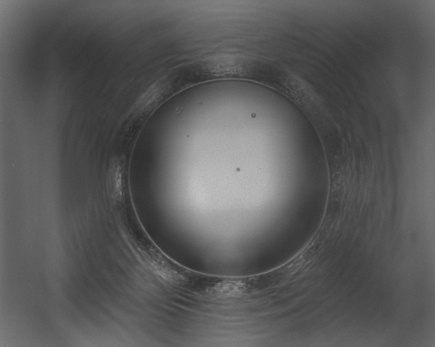 X0000054400124200508011332