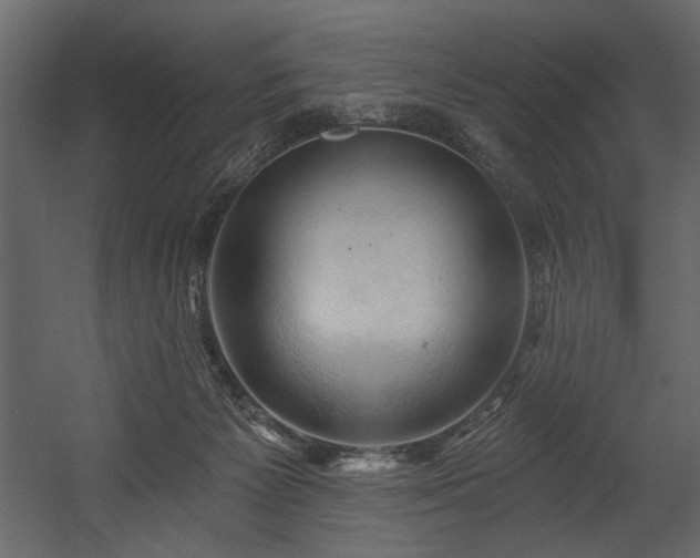 X0000054400125200508011332