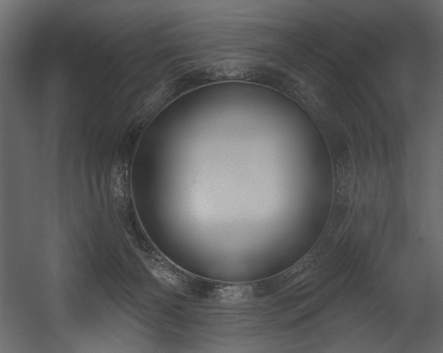 X0000054400126200508011332