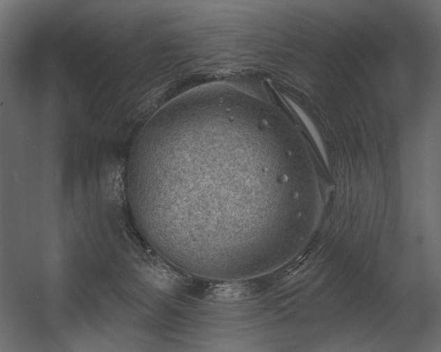 X0000054400127200508011332