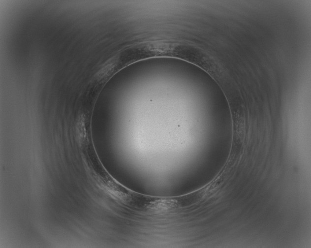 X0000054400128200508011332