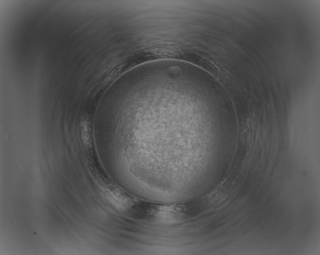 X0000054400130200508011332