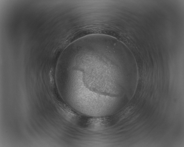 X0000054400131200508011332